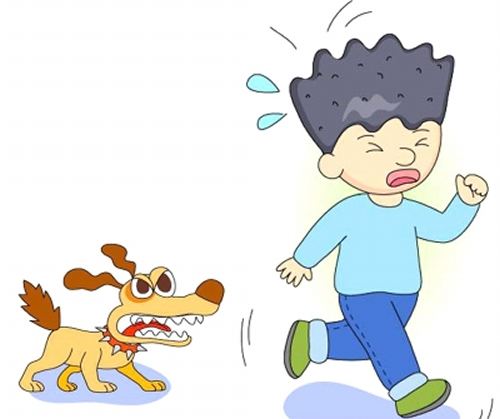 打狂犬疫苗注意事项？这些小措施你了解吗