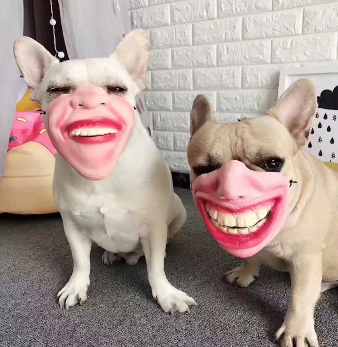 给狗狗起名字大全~一大波爱称来也~