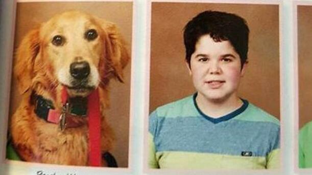 狗狗一步也不想离开小主人,大家决定这么做让他们永远在一起