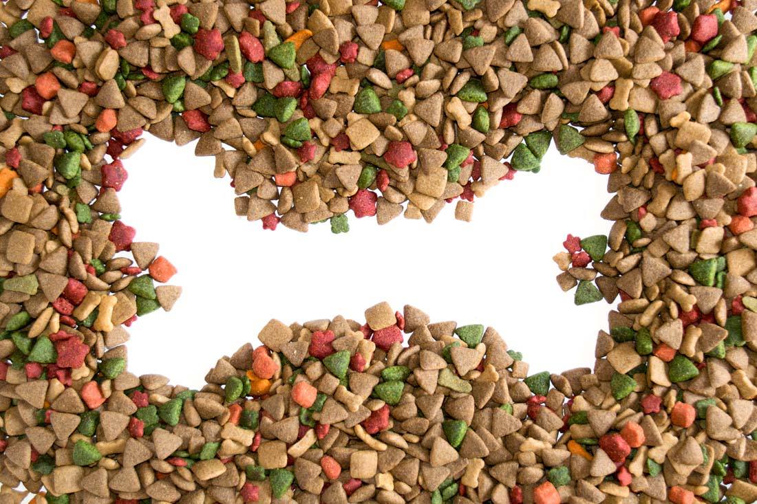 巴哥犬可以吃米饭吗，犬不是铁饭也不是钢