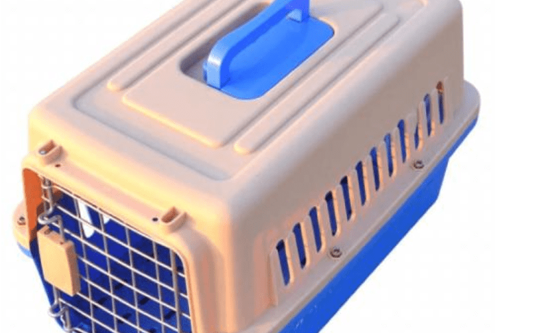 宠物狗怎么托运? 这些要点得知道