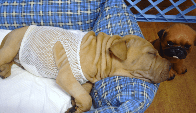 肠套叠怎么治疗?常见的做法就是这样