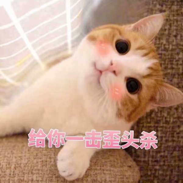 猫的生活习性~我们一起学猫叫~一起喵喵喵喵