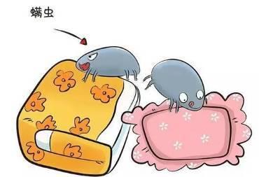 狗身上长螨虫怎么办?去螨虫最有效方法