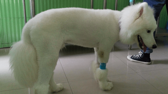 肠套叠怎么治疗?常见的做法就是这样