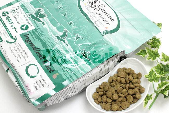 比熊吃什么牌子的狗粮好,种类繁多供君选择