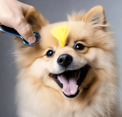 狗狗嘴巴毛发黄怎么除掉