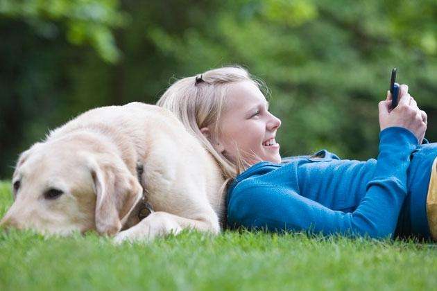 养宠物对健康有益，这些知识了解一下