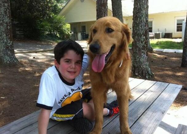 狗狗一步也不想离开小主人,大家决定这么做让他们永远在一起