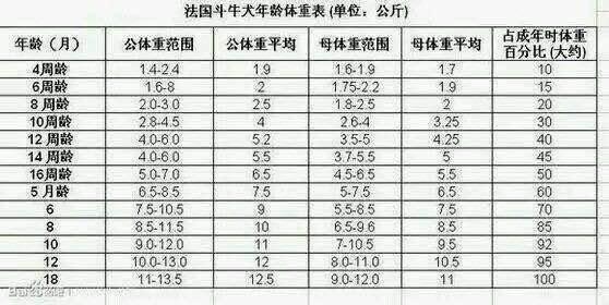 法国斗牛犬成年多重,小巧的它真的适合你吗