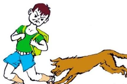 狂犬病的潜伏期是多久？切莫胡乱猜测