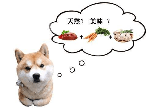 狗粮怎么泡,关键是方法要找对!