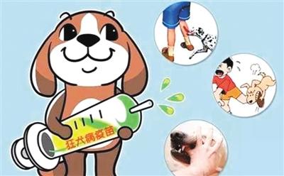 狂犬病能治吗？这些问题要早点搞清楚