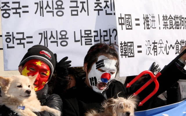 国内外舆论压力太大,韩国最大的狗肉屠宰场宣布关闭