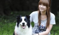 边境牧羊犬怎么样?犬界智多星名不虚传
