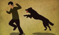 狂犬病传染吗?传染是有一定的条件的