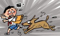 被狗咬了怎么办,赶紧做好这两件事