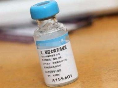 打狂犬疫苗时间,切记别错过时间