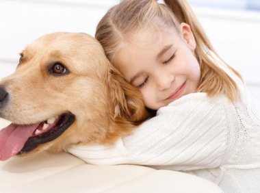 怎样训练狗狗听话?这个要讲究方法