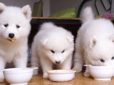 细小治疗费用,必须的费用小解