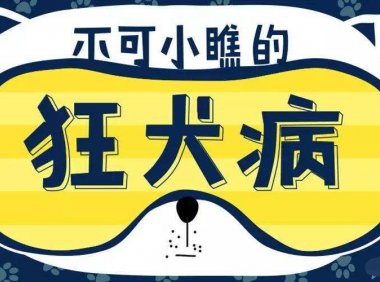 狂犬病疫苗注射时间，以下内容值得你收藏