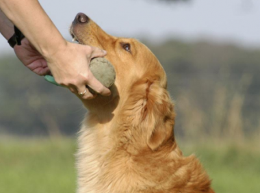 得狂犬病的症状,主要有以下这些表现