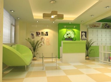 开宠物店需要什么?行业老手教你快速起步