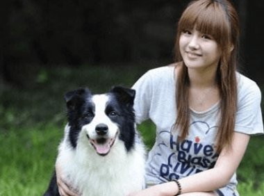 边境牧羊犬怎么样?犬界智多星名不虚传