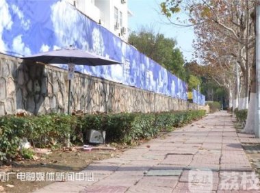 南师大仙林校区出现了20多个爱心猫窝