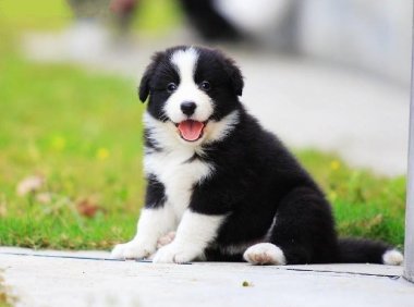 肠梗阻是怎么引起的？通常是这些原因导致