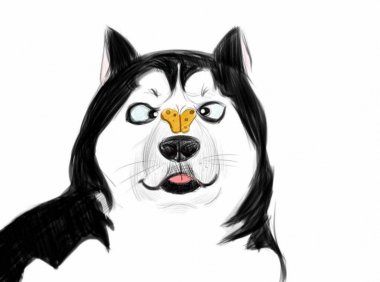 阿拉斯加怎么训练？不清楚的来看看