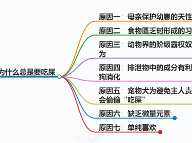 狗为什么总是要吃屎,人性永恒不变!