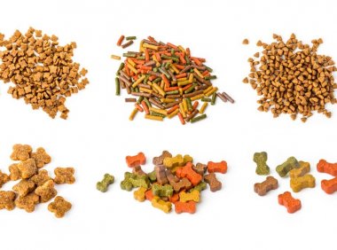 阿拉斯加幼犬喂多少狗粮，其实管饱就可以