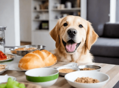 如何提高狗狗的食欲:药物和营养方法