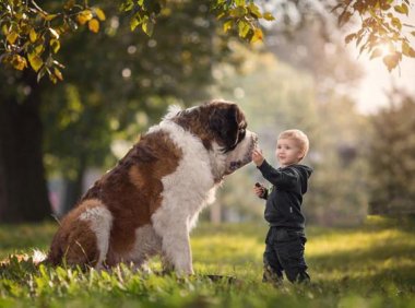 宠物寿命排行榜,你可能想不到