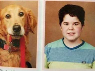 狗狗一步也不想离开小主人，大家决定这么做让他们永远在一起