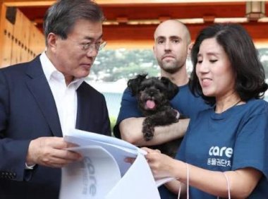 国内外舆论压力太大,韩国最大的狗肉屠宰场宣布关闭