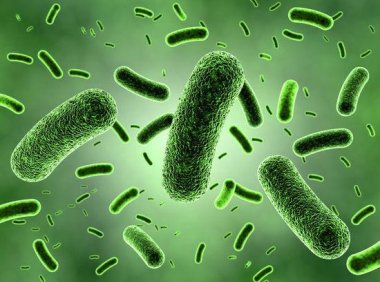 细小病毒治疗方法，宠物有病情的请注意