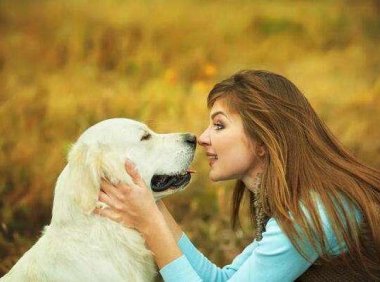 小狗打疫苗的时间，记住了可别错过了