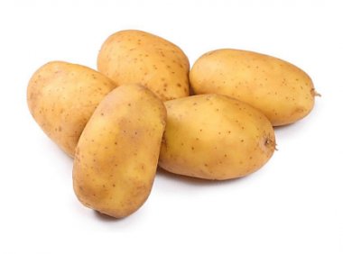 狗狗可以吃土豆吗?注意熟食别超量