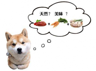 狗粮怎么泡,关键是方法要找对!
