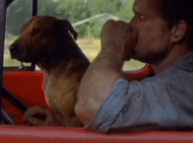 关于比特犬的电影,凶猛中不失温馨